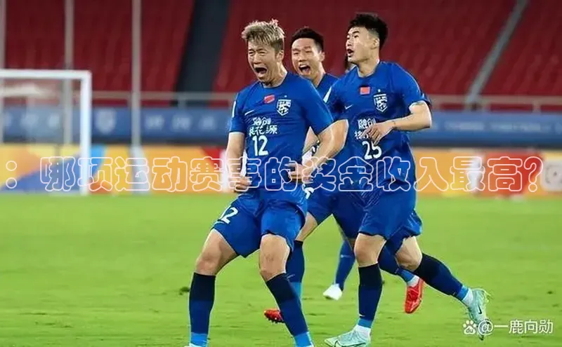 ：哪项运动赛事的奖金收入最高？