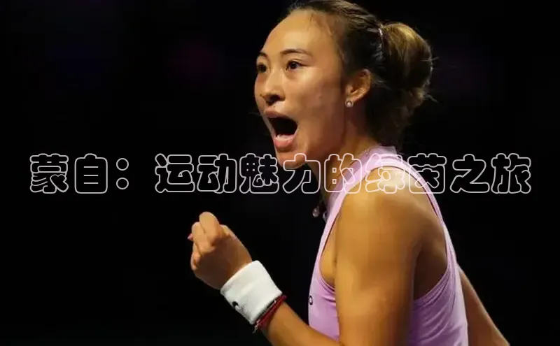 蒙自：运动魅力的绿茵之旅