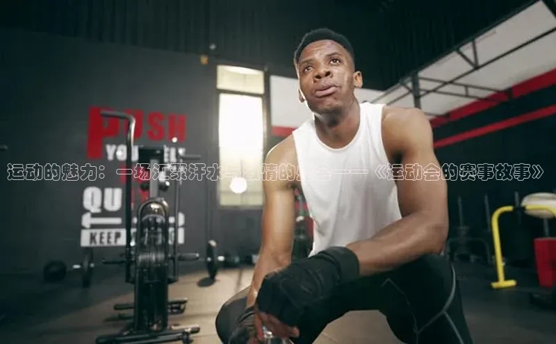 运动的魅力：一场汇聚汗水与激情的盛会——《运动会的赛事故事》