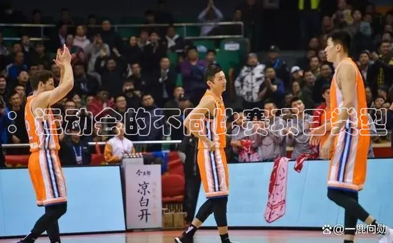 ：运动会的不同比赛项目类型