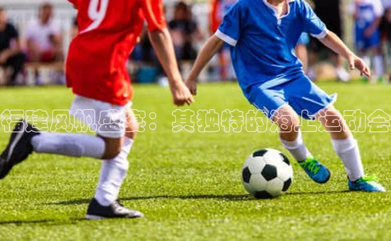 新宝登录app入口手机版