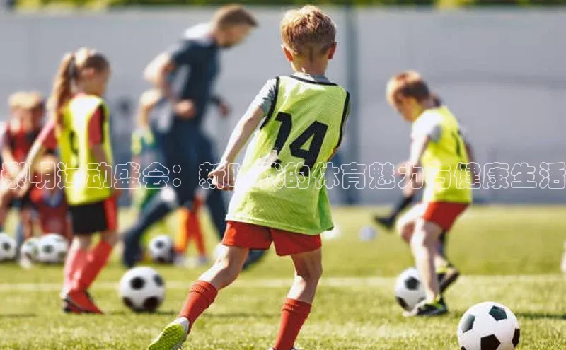 新宝gg创造奇迹登录入口网址