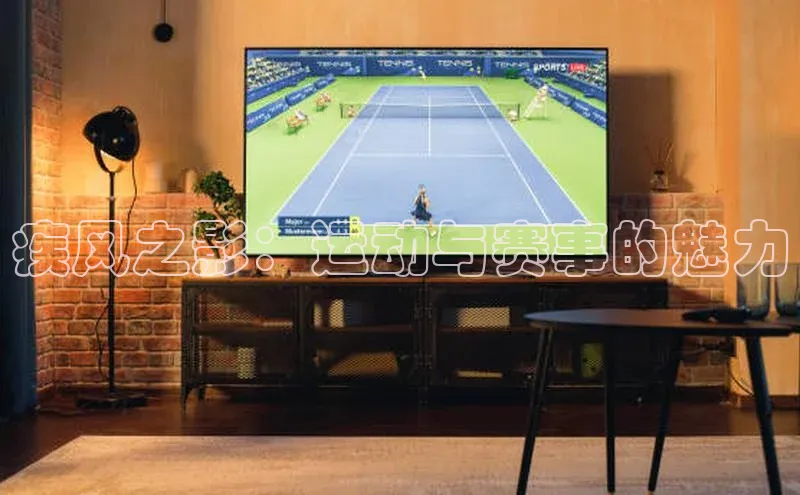 疾风之影：运动与赛事的魅力