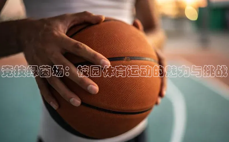 新宝gg官网登录