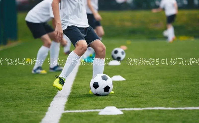 省级运动会：竞技与激情的绽放——精彩赛事回顾与展望